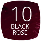 10 Black Rose