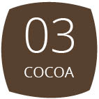03 Cocoa